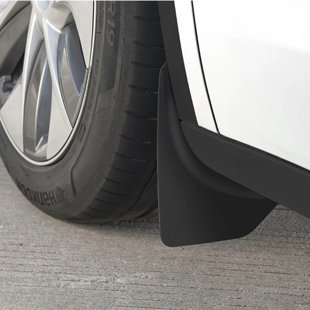 Mudguard 1